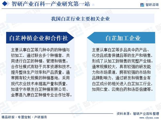 智研咨询发布 白芷行业市场动态、发展方向及投资前景分析报告